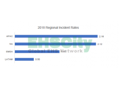 INGRAM MICRO Annual Report - Incident Rates / 2