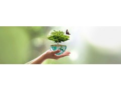 EHS management Workshop 9/23~25/2024 上海（可在线学习）EHS综合管理基础 / 4