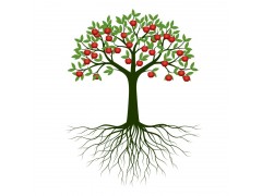 Root Cause Analysis (RCA) Workshop7/10~11 上海（可在线）事故原因分析(事故树分析法 / 2