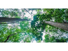 Integrated environmental management  9/9～10/2026 中国上海 环境综合管理 / 3